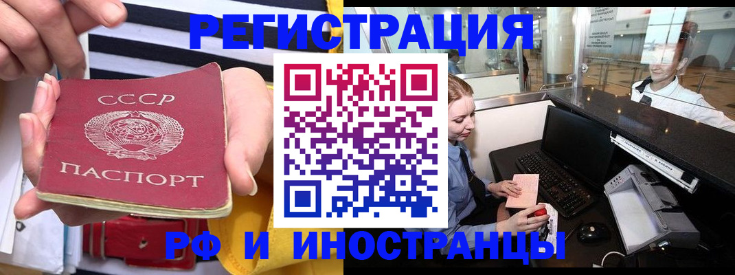 прописка ребенка в Мончегорске
